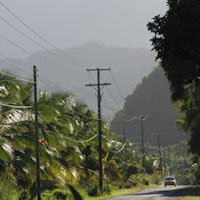 Image 008
