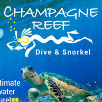 Champagne Reef Dive & Snorkel Poster and Flyer Design